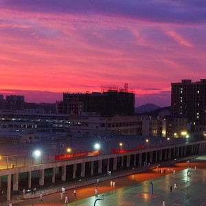 又骚又紧日不死你
