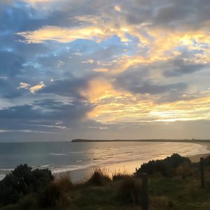 日本裸体在线视频
