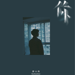 偷窃中国公厕的最新情况
