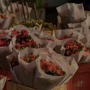 男生女生一起搓搓搓免费观看的视频
