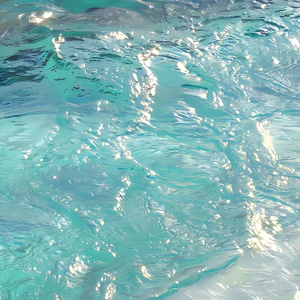 bbw欧美性HD在线
