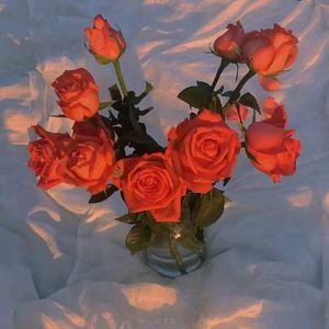 又骚又紧日不死你
