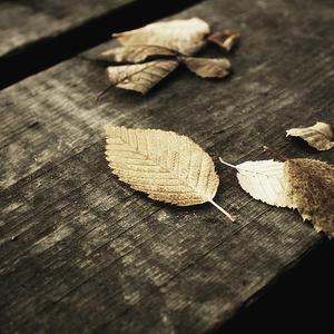 偷窃中国公厕的最新情况
