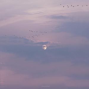 裸体美女精品BBBBBBBBB欣赏
