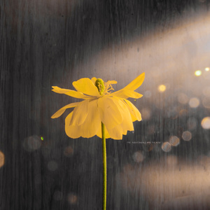 欧 美 性 x X x 精 品
